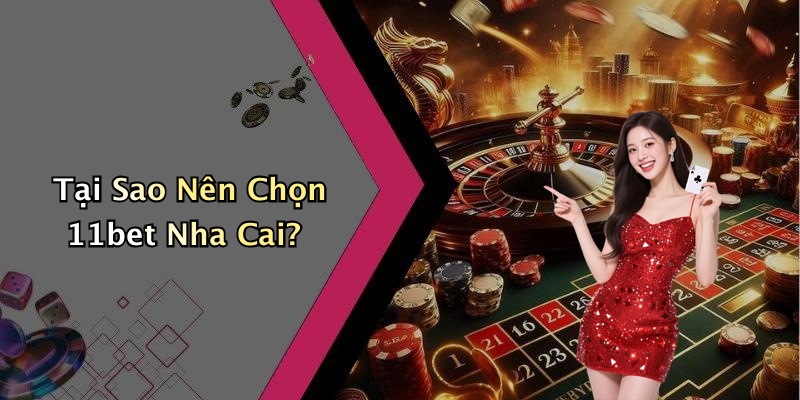 Tại Sao Nên Chọn 11bet Nha Cai?