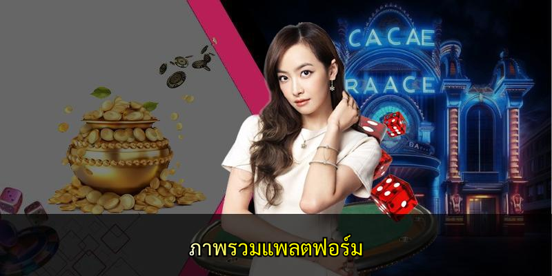ภาพรวมแพลตฟอร์ม