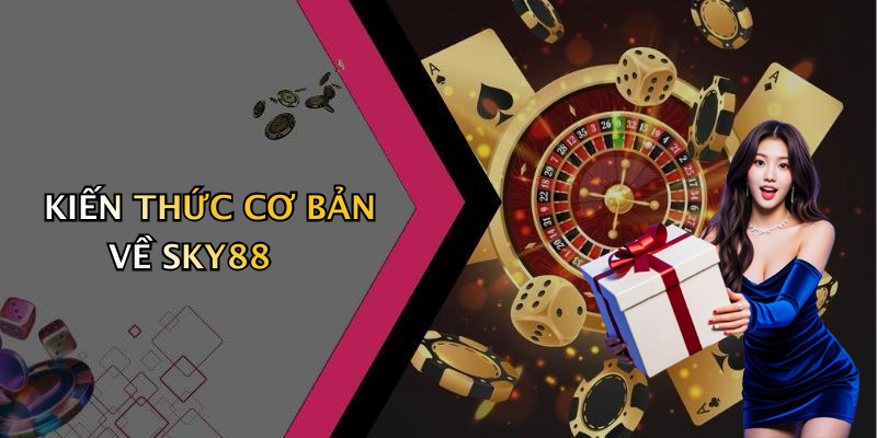KIẾN THỨC CƠ BẢN VỀ SKY88